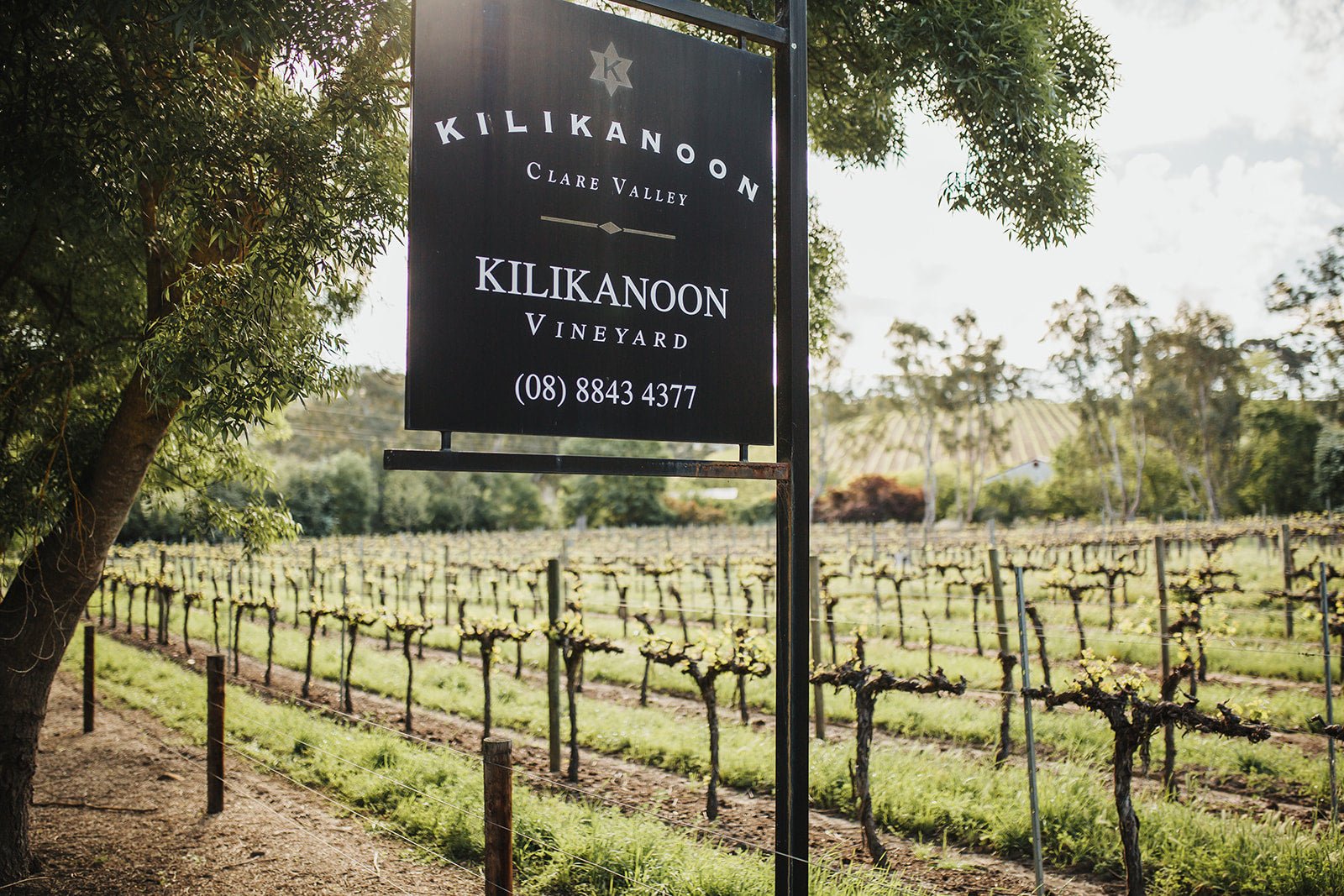 Kilikanoon winery in Clare Valley, Australia