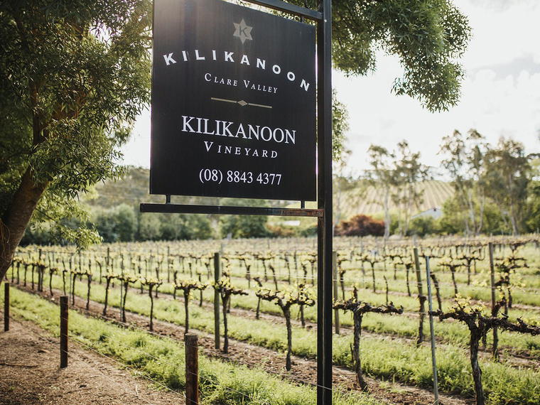 Kilikanoon, Clare Valley, Australia