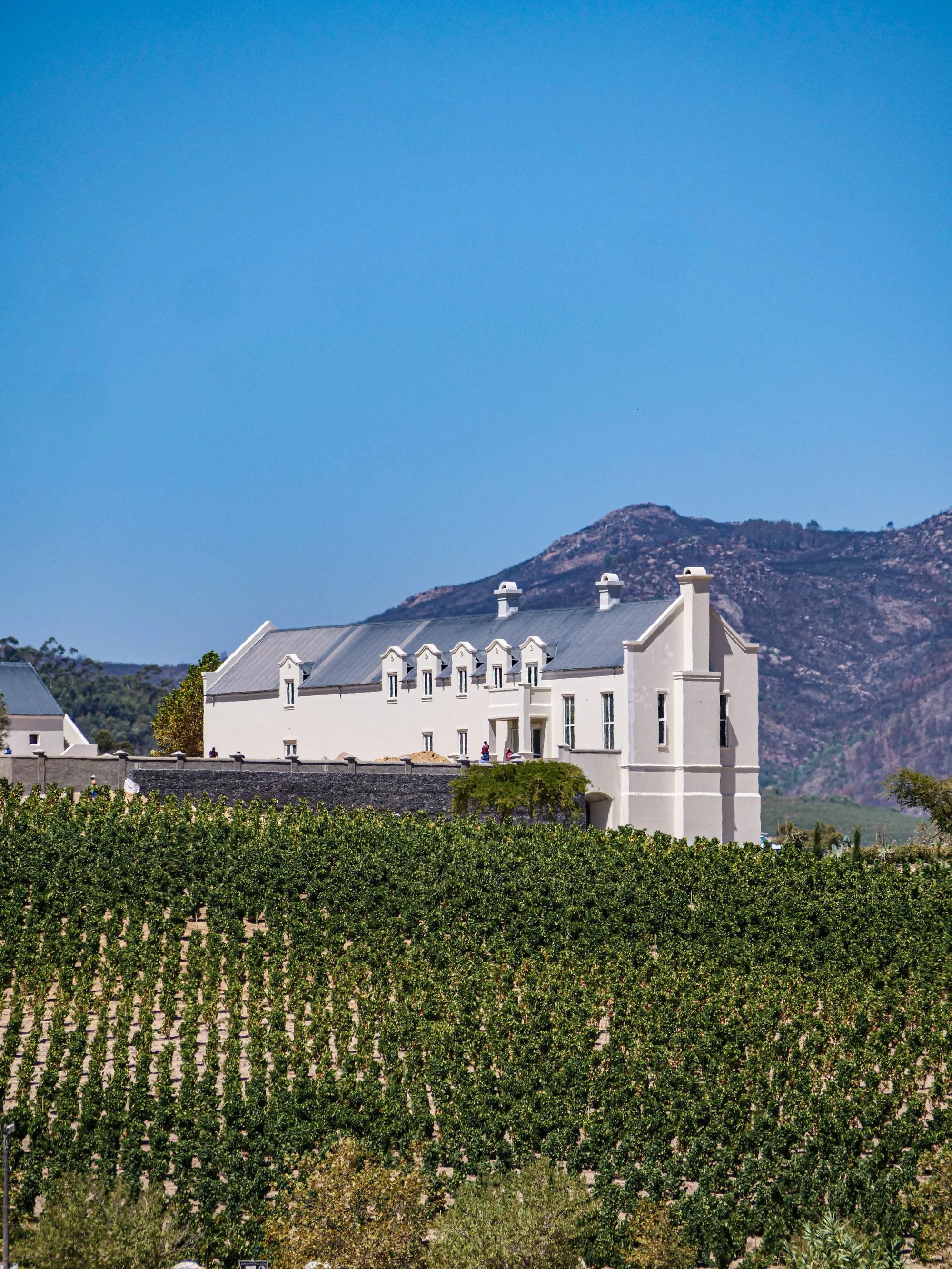 Sadie Family Wines winery in Swartland, South Africa