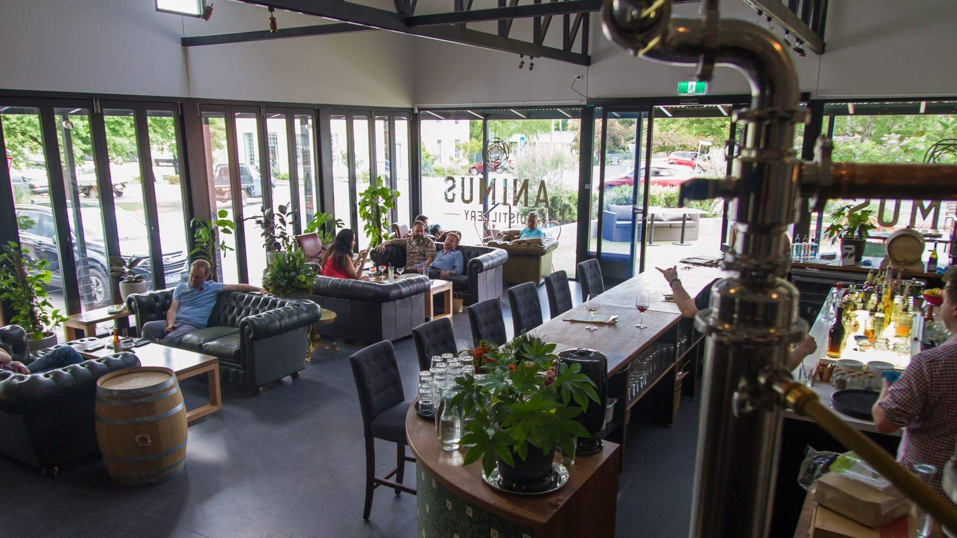 Animus Distillery, Winery in Kyneton