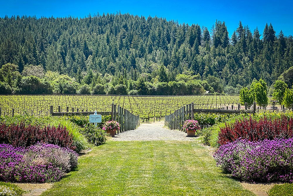 Goldeneye Winery, Philo, United States