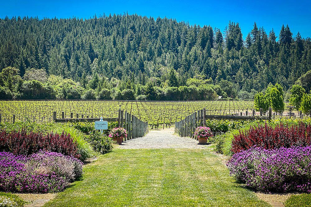 Goldeneye Winery winery in Philo