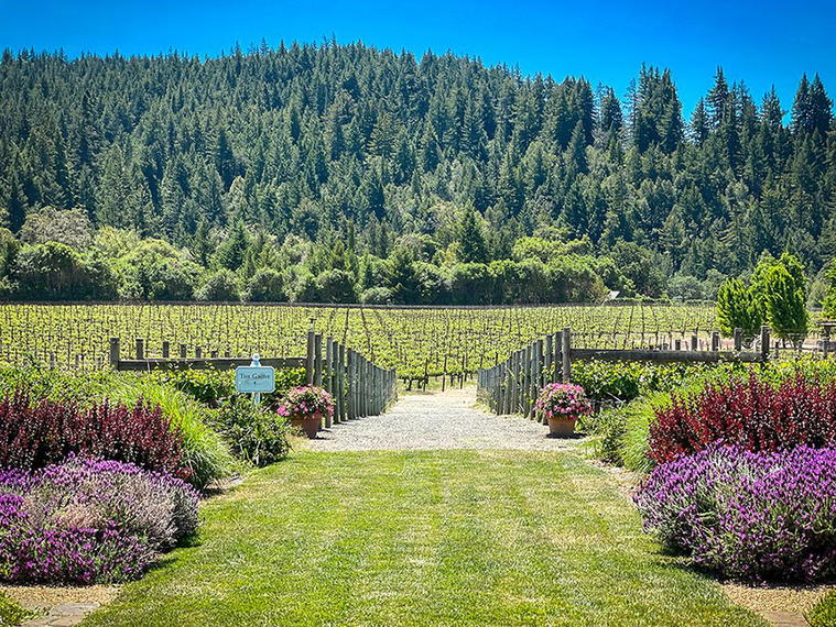 Goldeneye Winery, Philo, United States