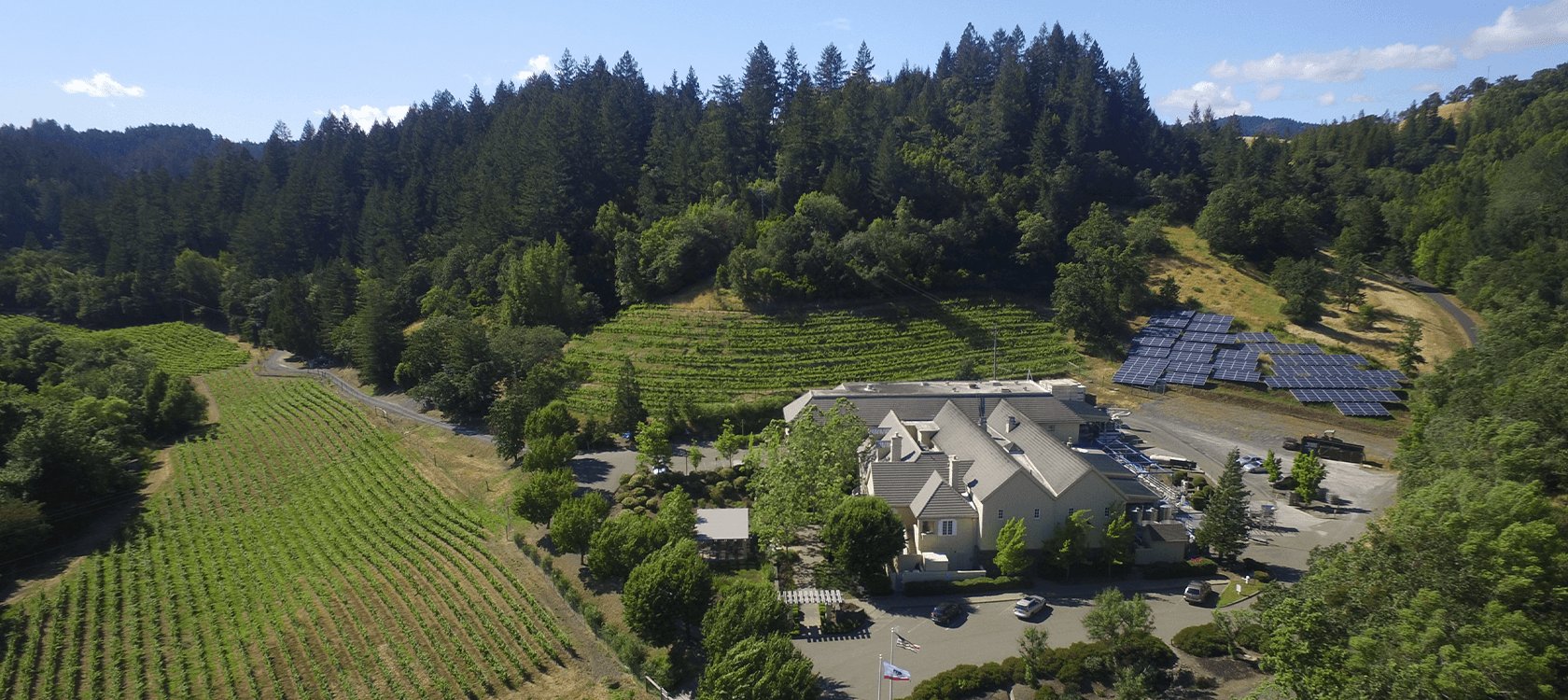 Hartford Family Winery winery in Forestville, United States