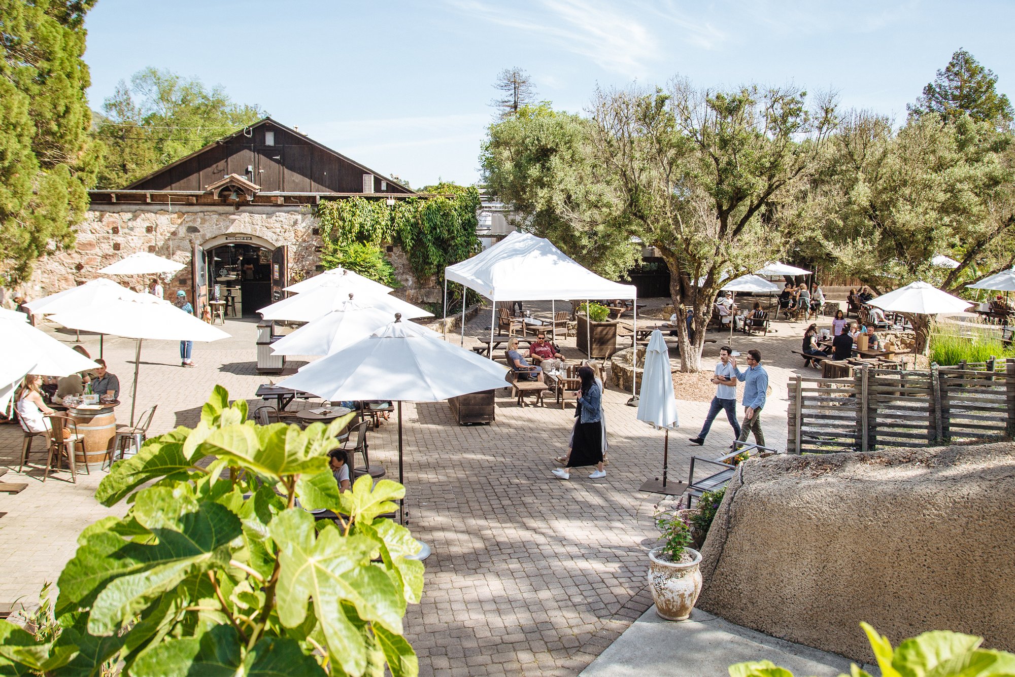 Gundlach Bundschu Winery winery in Sonoma, United States