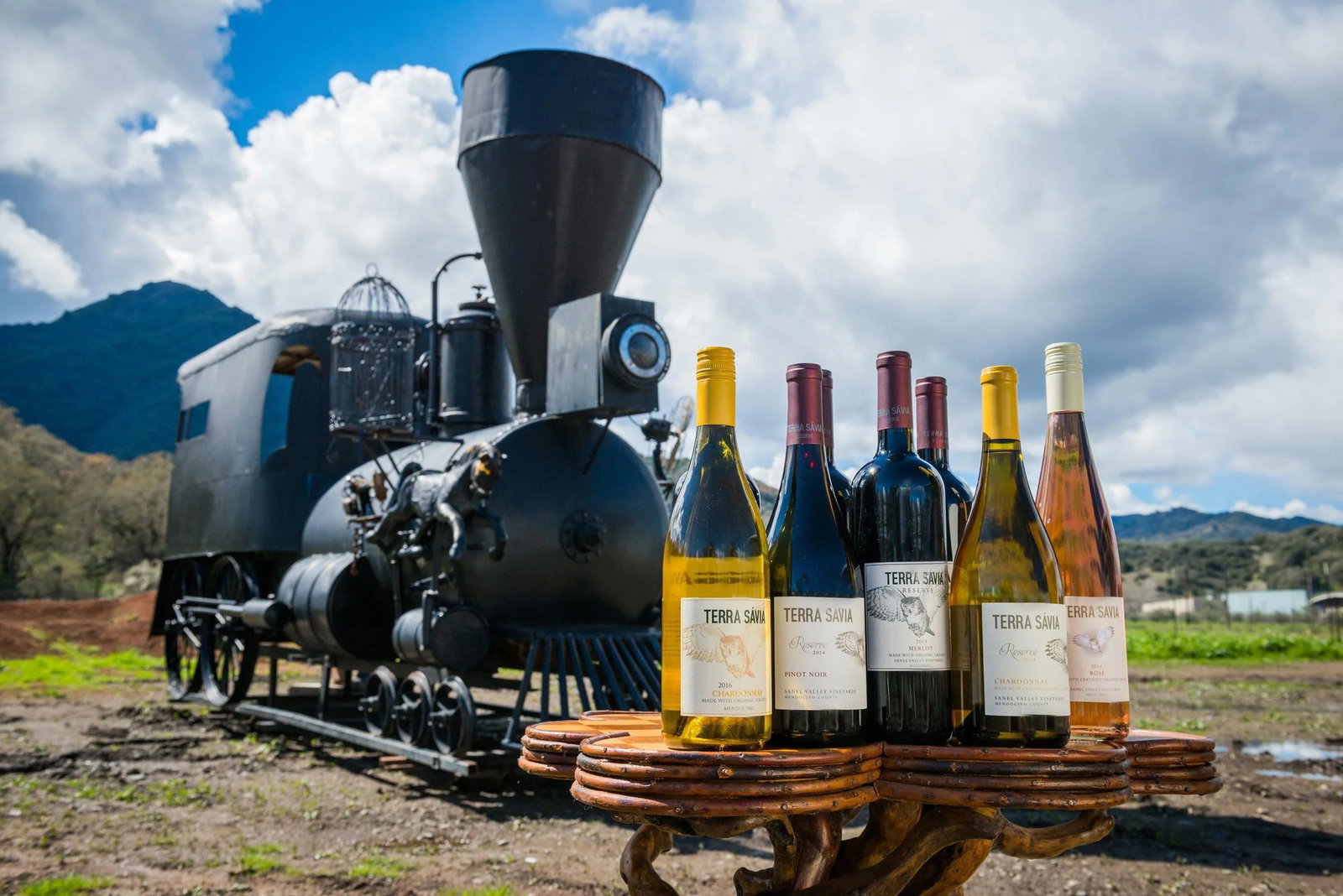 Terra Sávia Winery