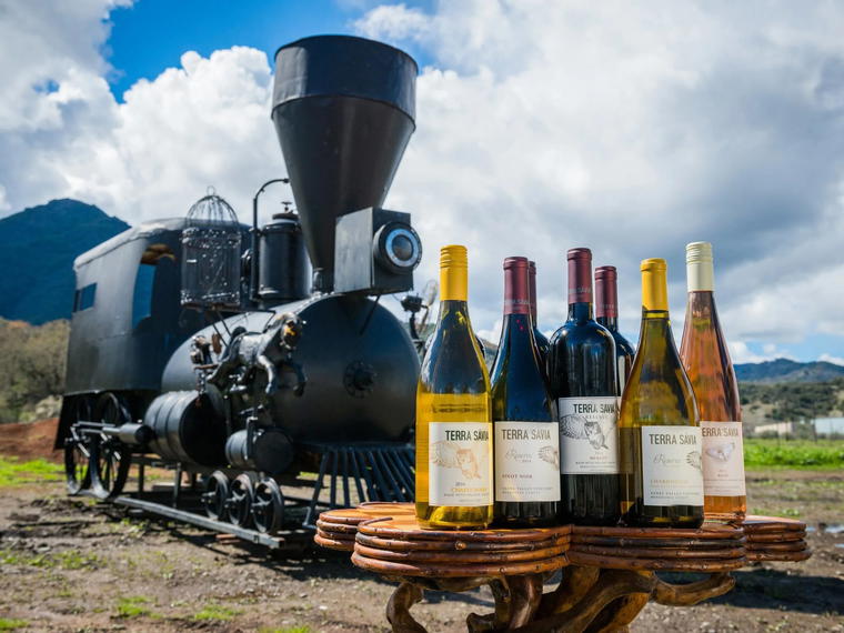 Terra Sávia Winery, Hopland, United States