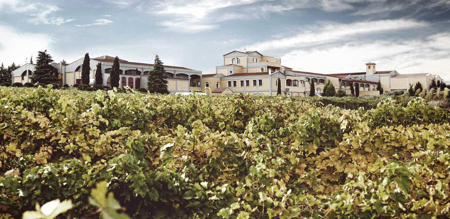 Costa Lazaridi Distillery winery in Drama