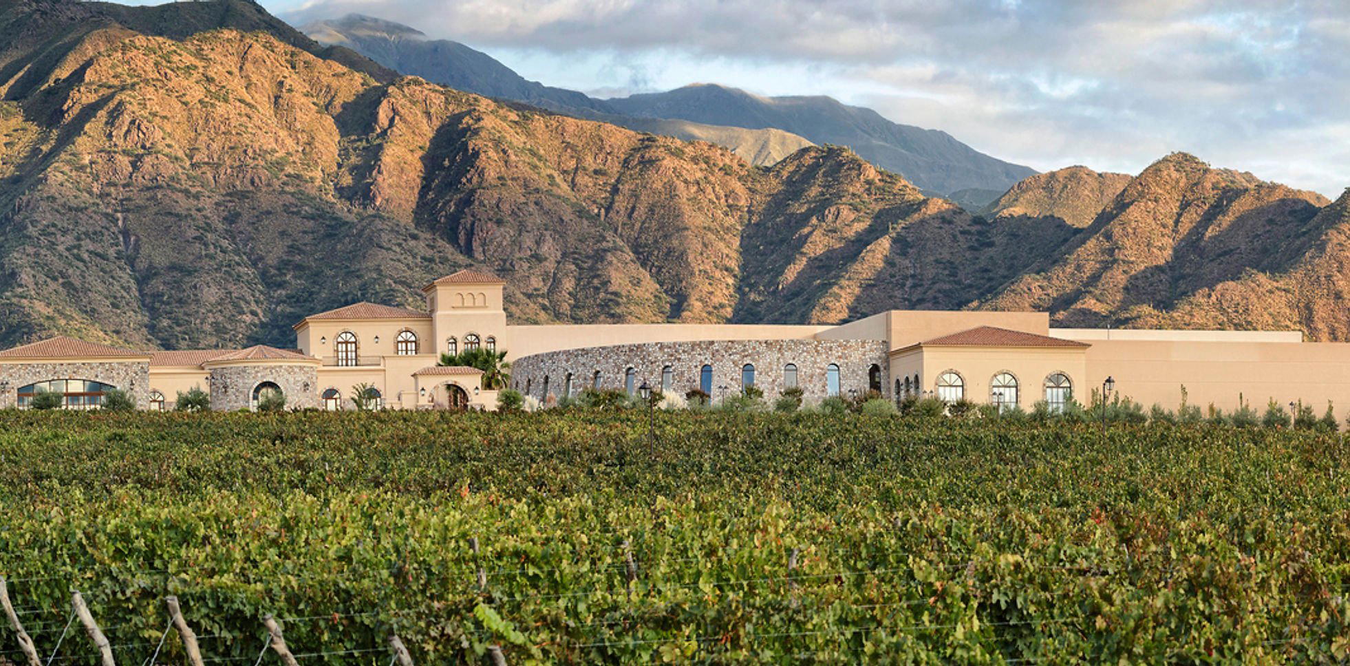 Piattelli Vineyards winery in Cafayate