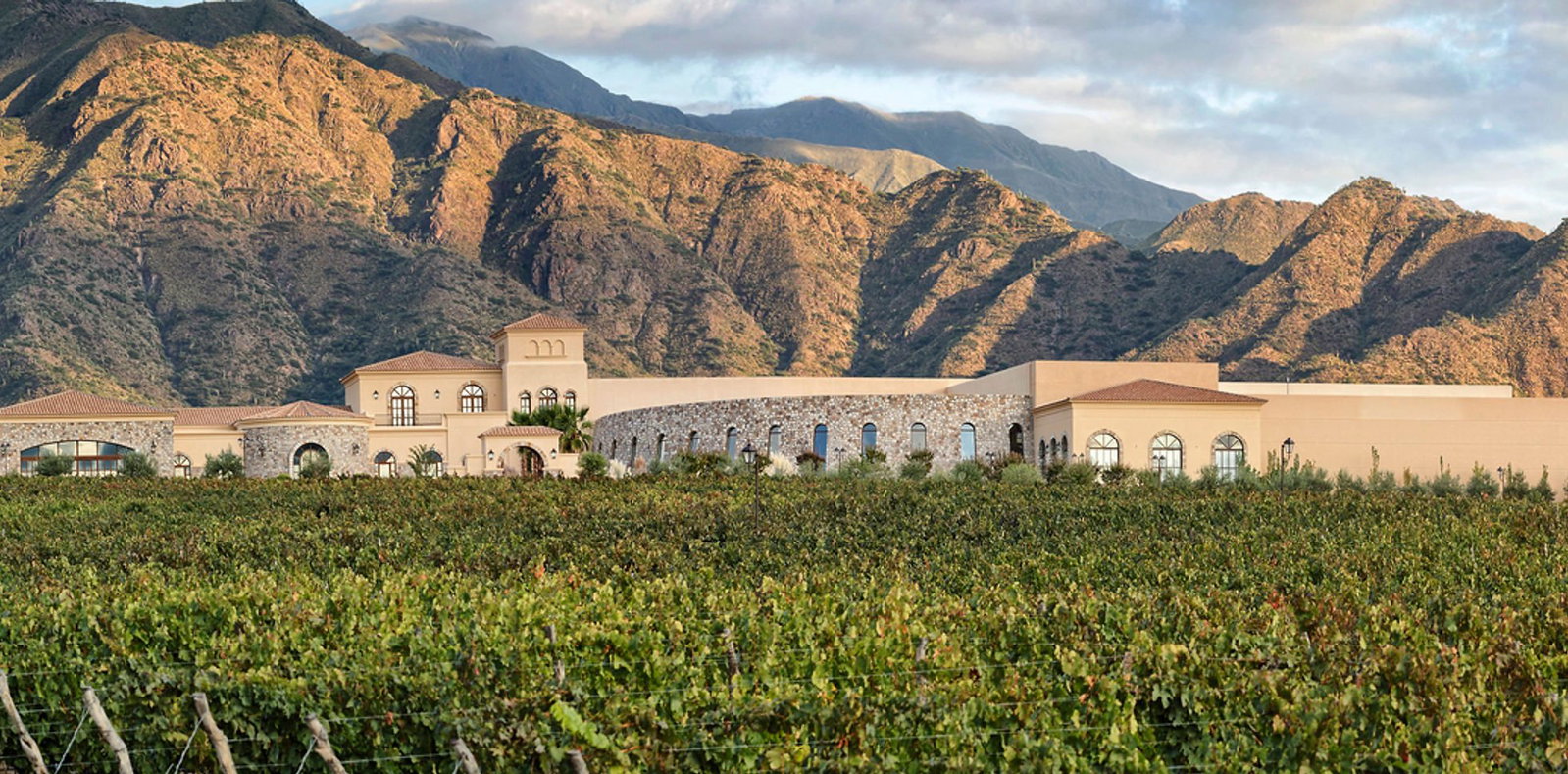 Piattelli Vineyards