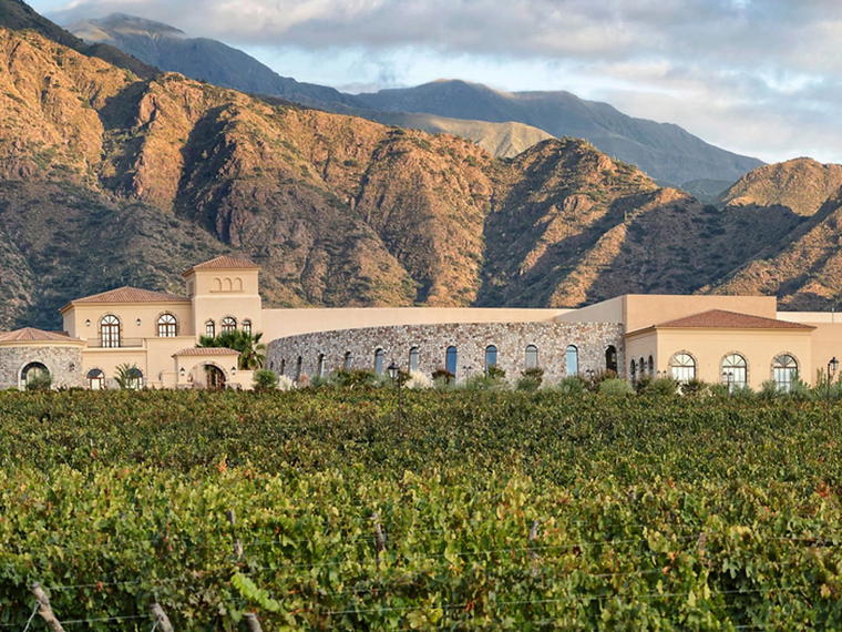 Piattelli Vineyards, Cafayate, Argentina