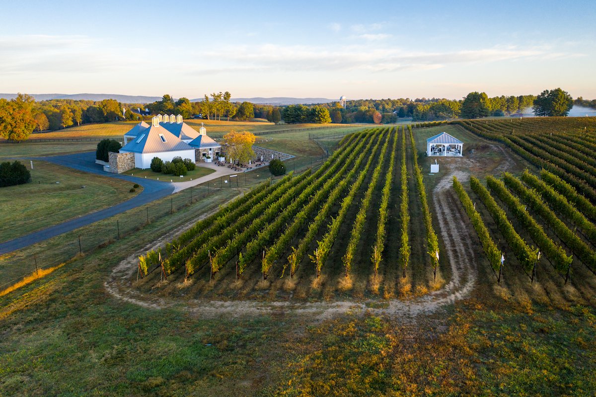 Boxwood Estate Winery