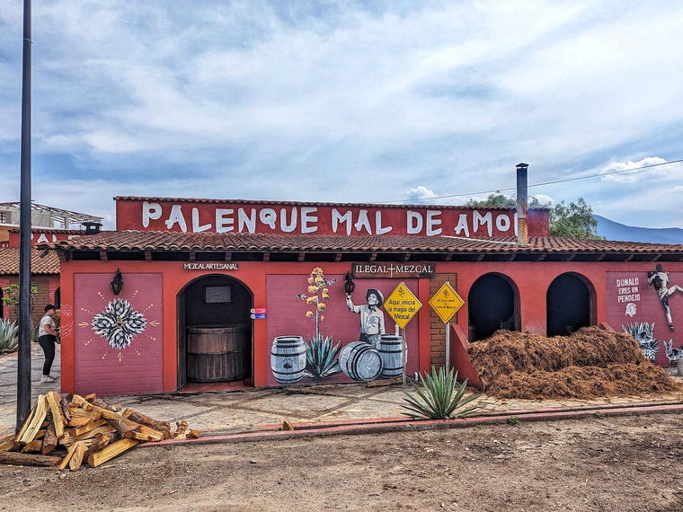 Ilegal (Palenque Mal de Amor), Santiago Matatlán, Mexico
