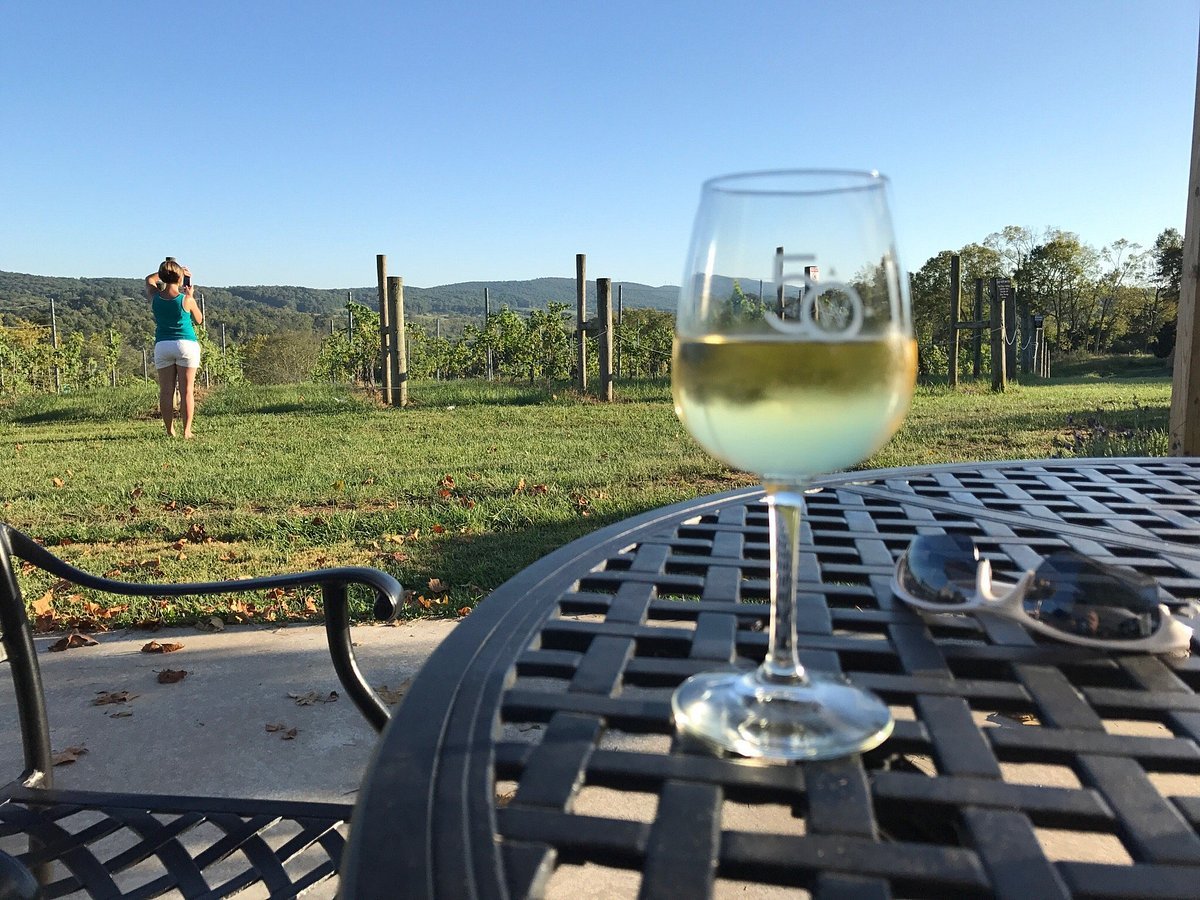 50 West Vineyards winery in Aldie, United States