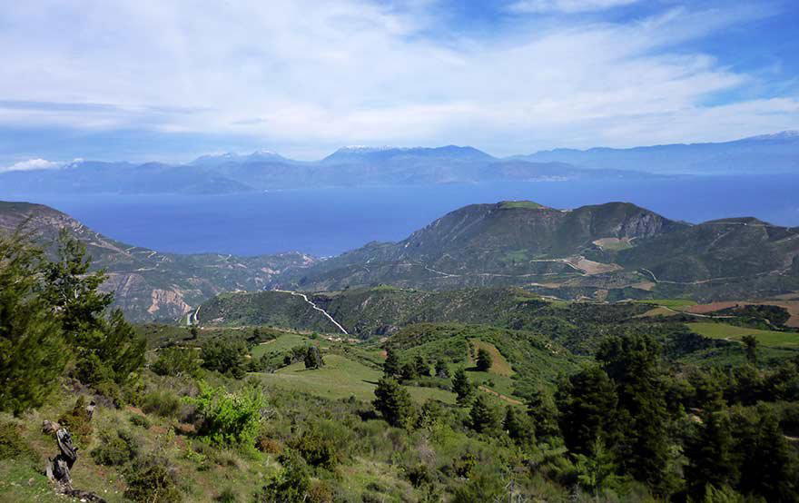 Tetramythos Winery winery in Ano Diakopto