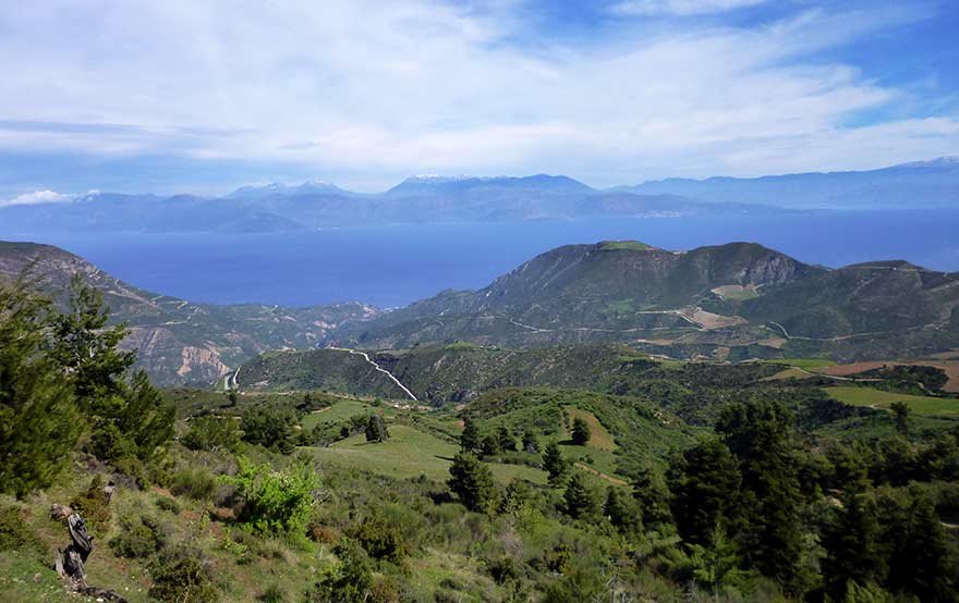 Tetramythos Winery winery in Ano Diakopto