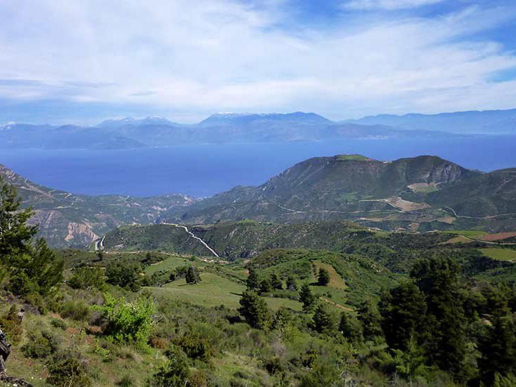 Tetramythos Winery, Ano Diakopto, Greece