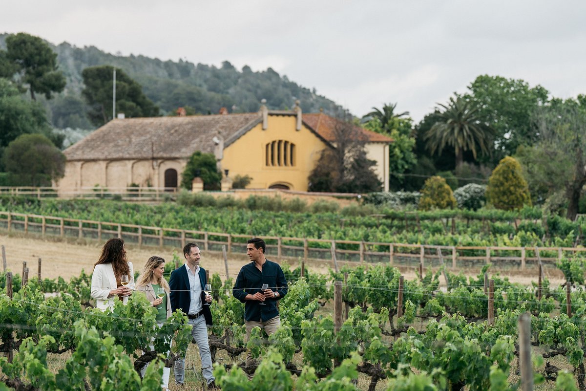 Bodegas Torres