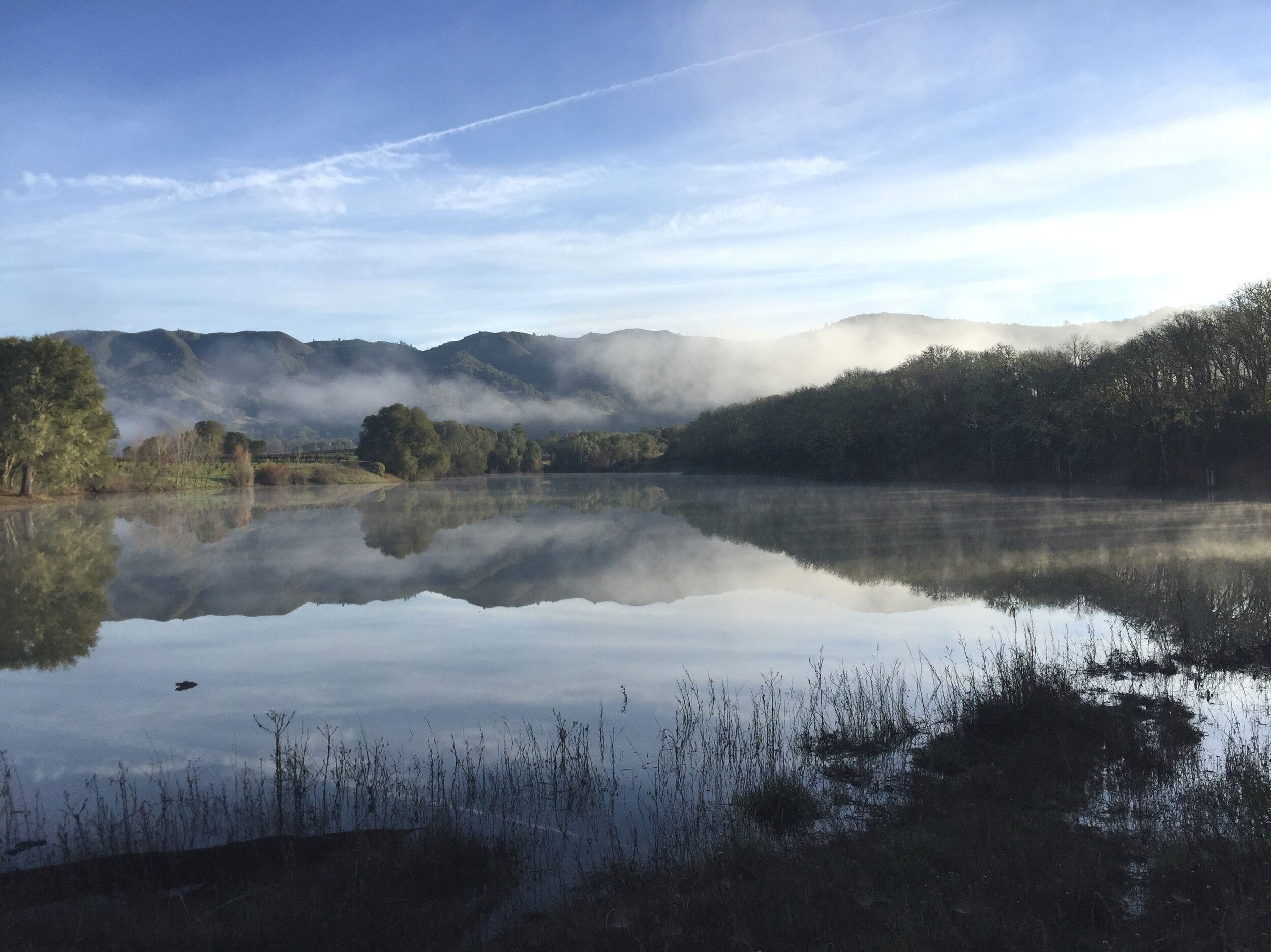 Lolonis Winery, Winery in Redwood Valley
