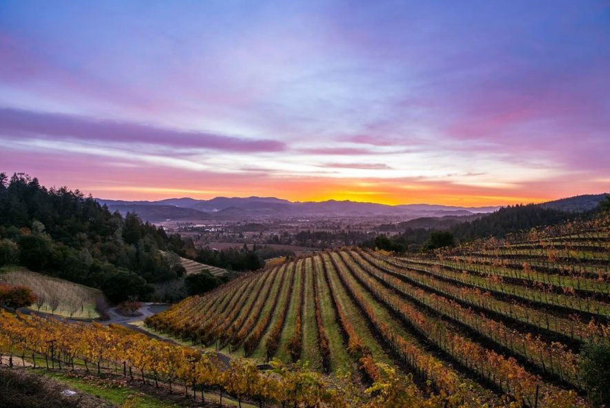 Blackbird Vineyards winery in Napa, United States