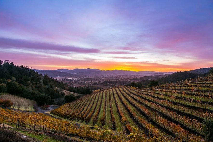 Blackbird Vineyards winery in Napa