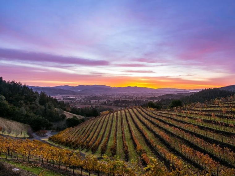 Blackbird Vineyards, Napa, United States