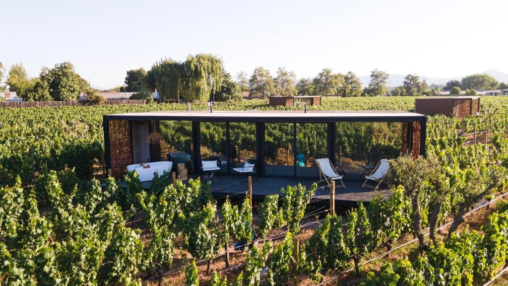 Viña Viu Manent winery in Santa Cruz, Chile