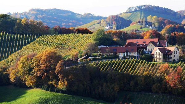 Familienweingut Sattlerhof