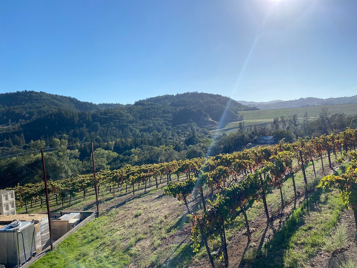 Sbragia Family Vineyards winery in Geyserville, United States