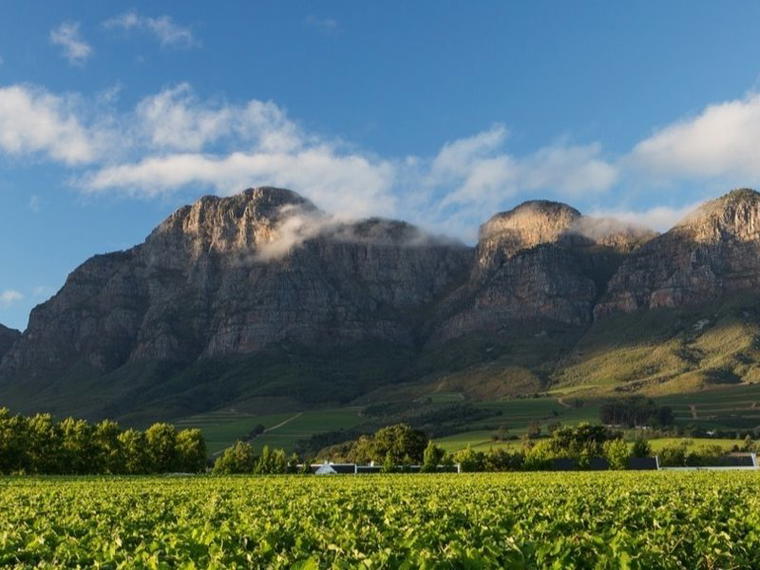 Rupert & Rothschild Vignerons, Franschhoek, South Africa