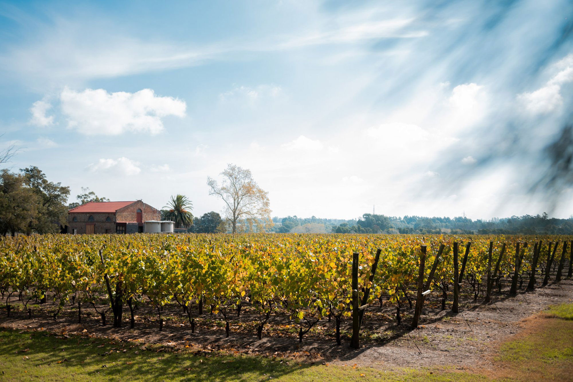 Varela Zarranz winery in Canelones, Uruguay