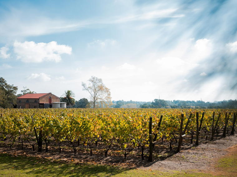 Varela Zarranz, Canelones, Uruguay