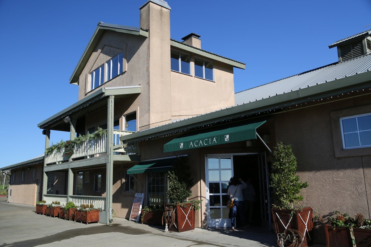 Acacia Vineyard