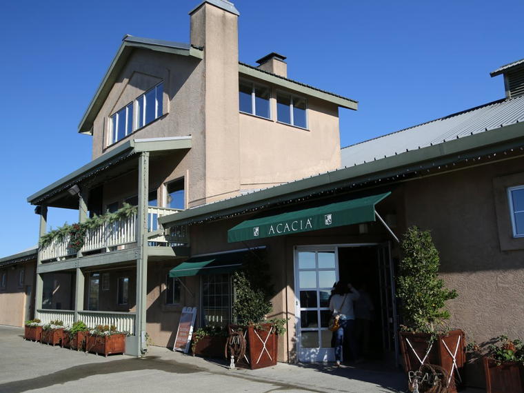 Acacia Vineyard, Napa, United States