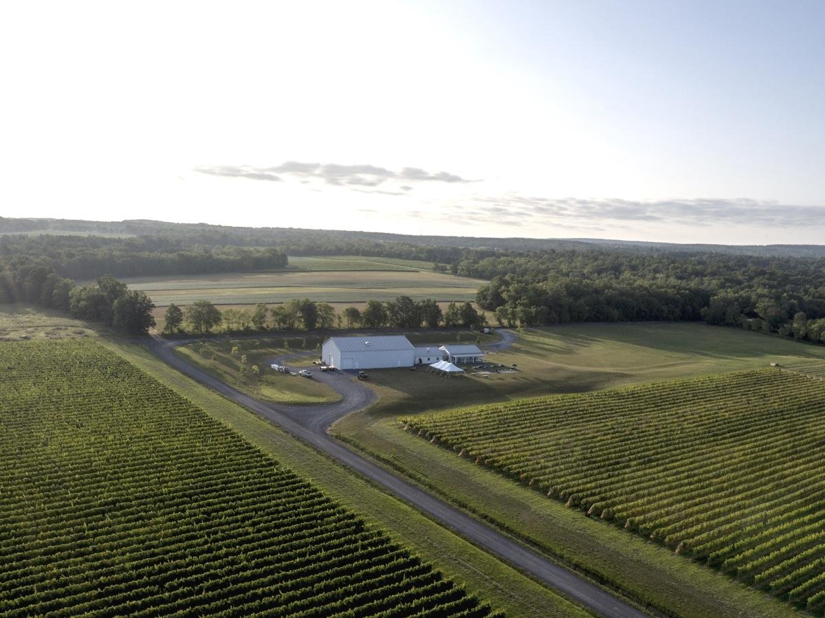 Boundary Breaks Vineyard