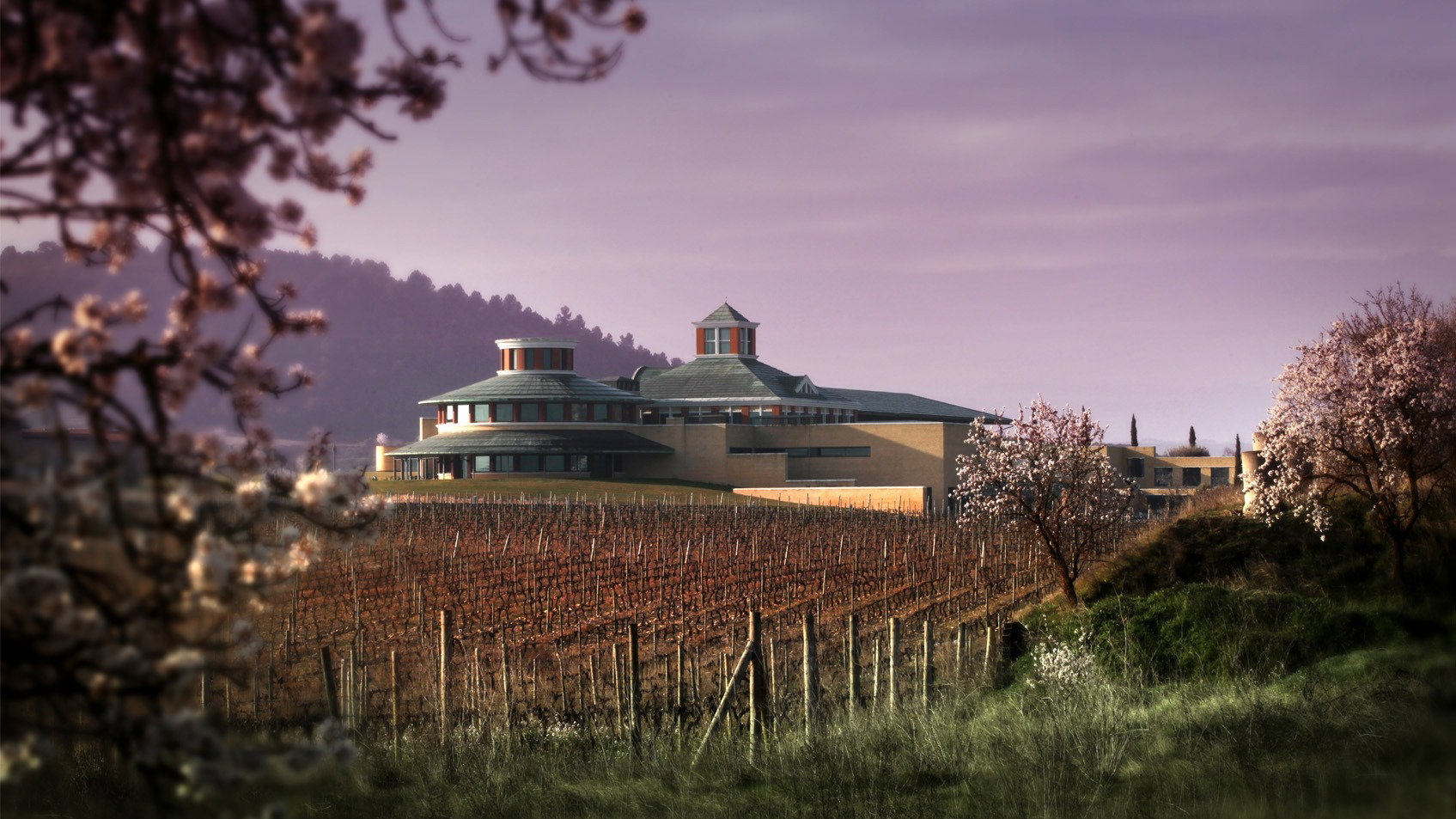 Bodegas Vivanco, Valle de Mena, Spain