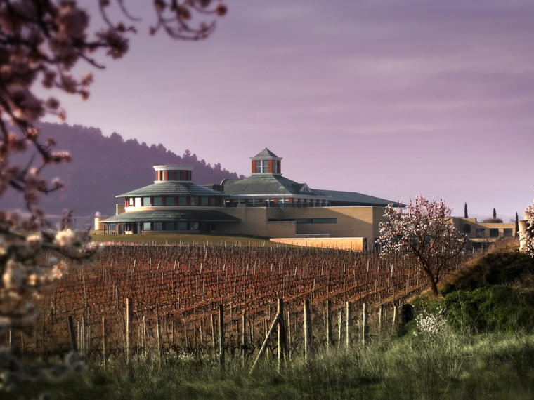 Bodegas Vivanco, Valle de Mena, Spain