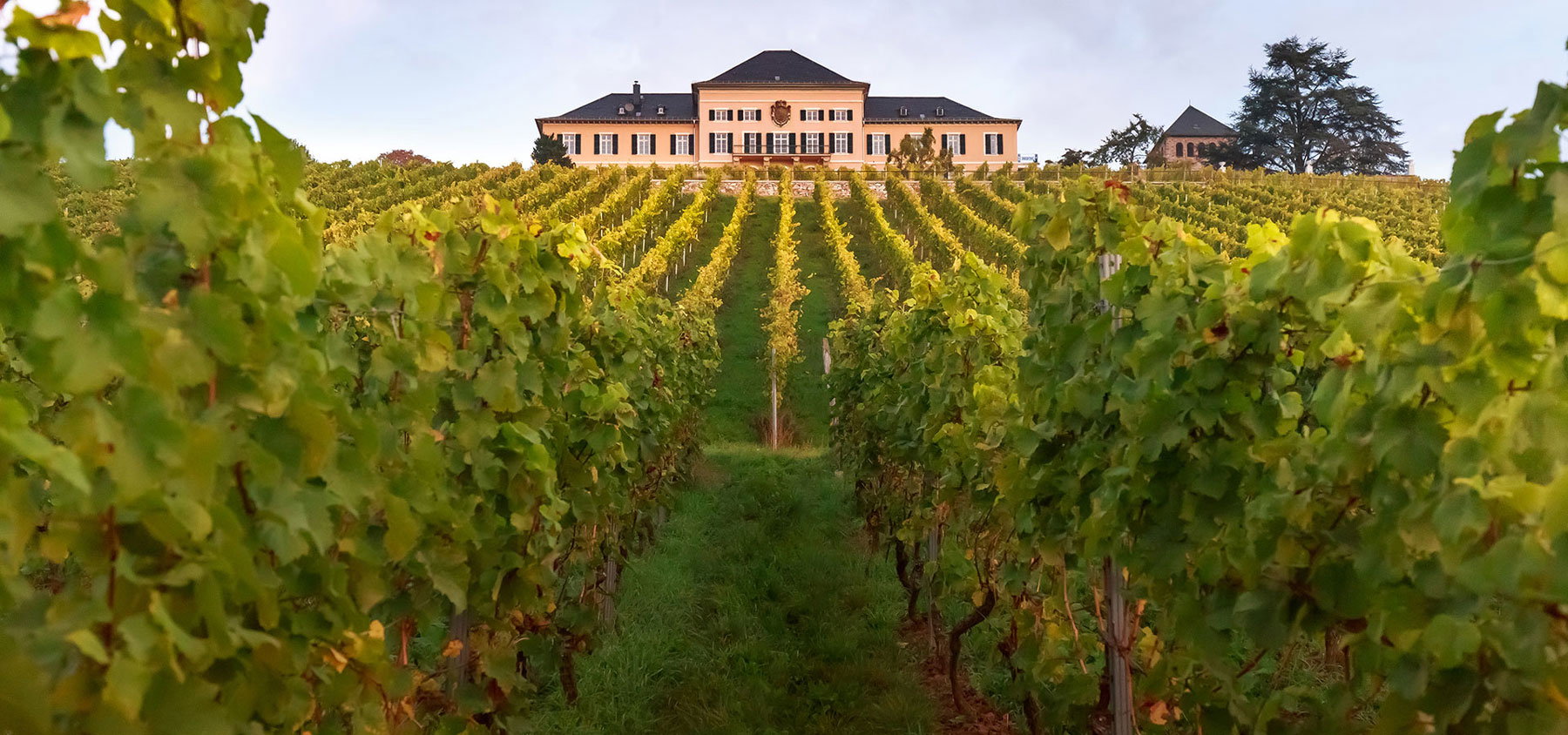 Schloss Johannisberg, Geisenheim-Johannisberg, Germany