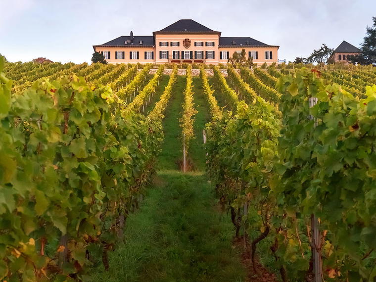 Schloss Johannisberg, Geisenheim-Johannisberg, Germany