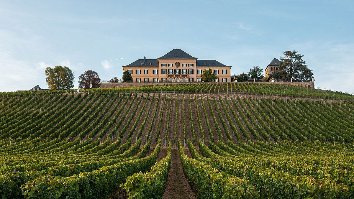 Schloss Johannisberg, Winery in Geisenheim-Johannisberg