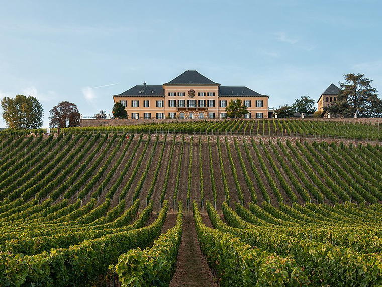 Schloss Johannisberg, Geisenheim-Johannisberg, Germany