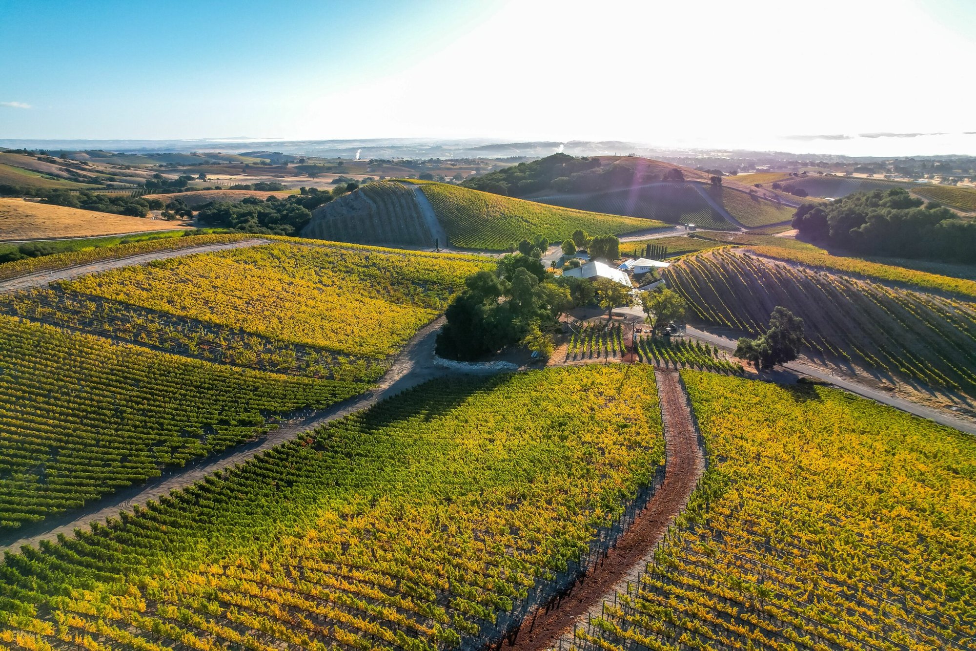 L'Aventure Winery winery in Paso Robles, United States