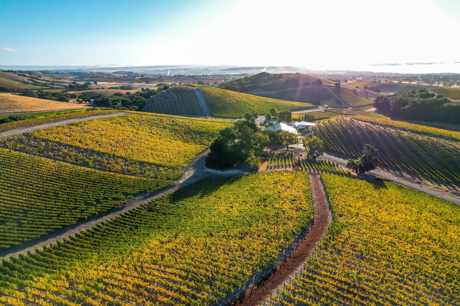 L'Aventure Winery