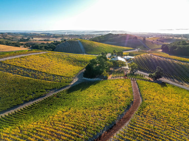 L'Aventure Winery, Paso Robles, United States