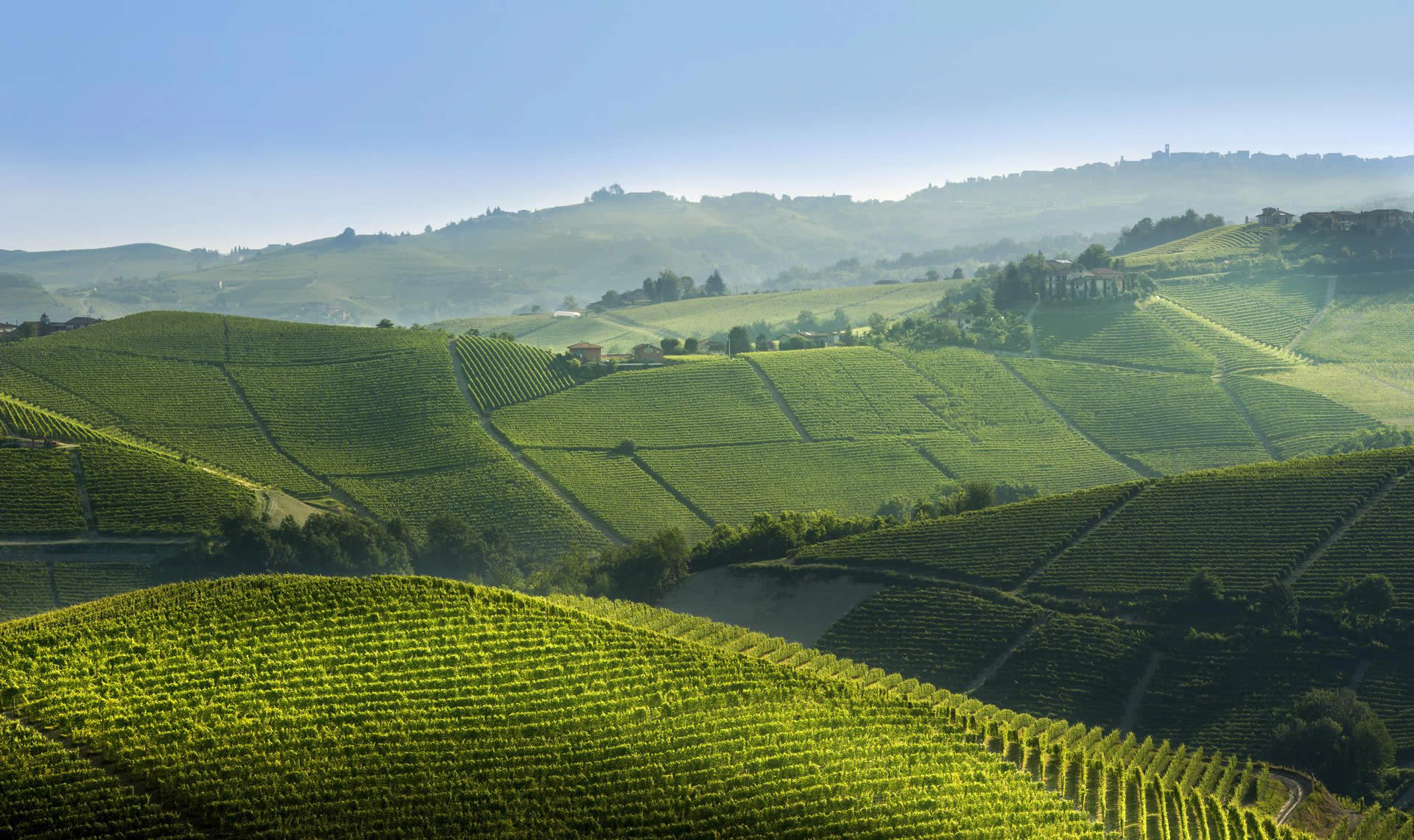 Pio Cesare winery in Alba, Italy