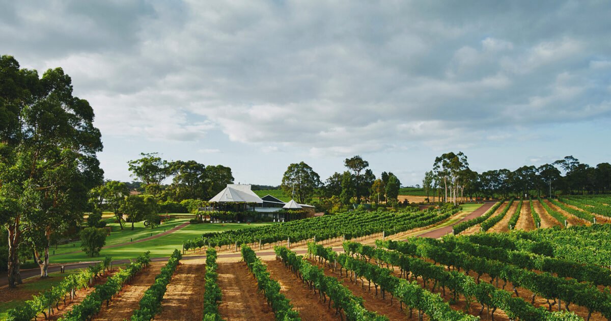 Vasse Felix