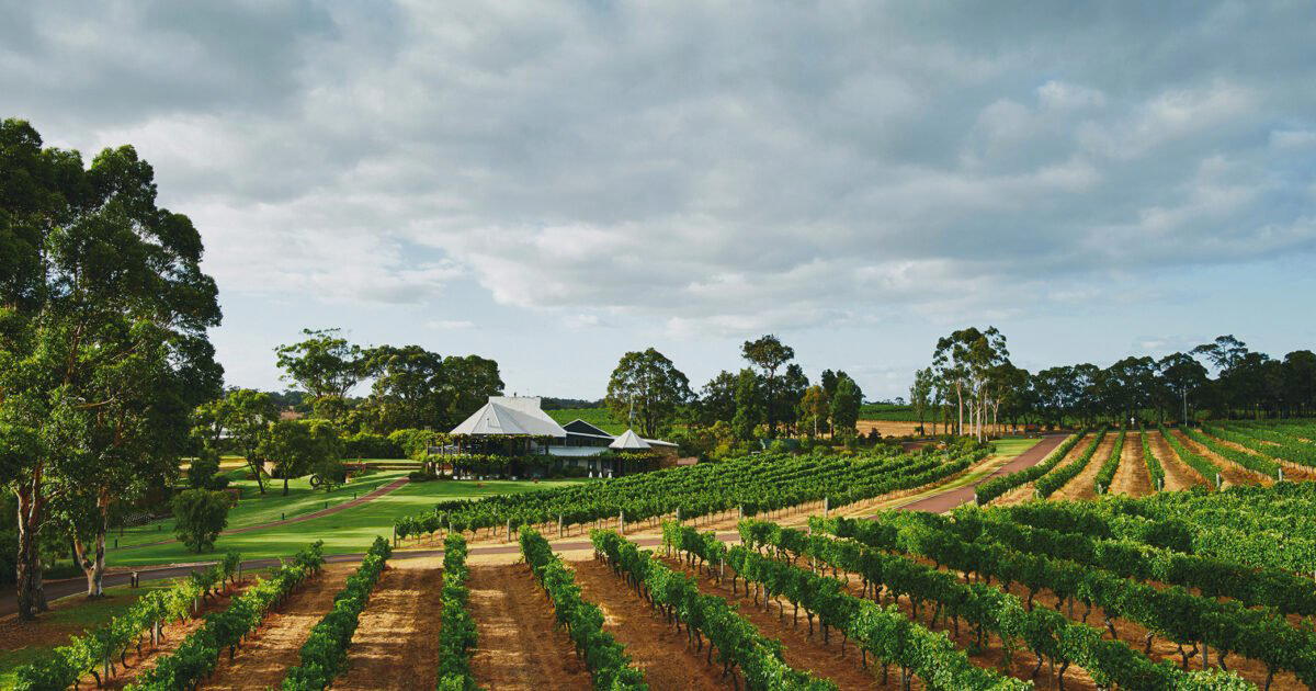 Vasse Felix winery in Margaret River