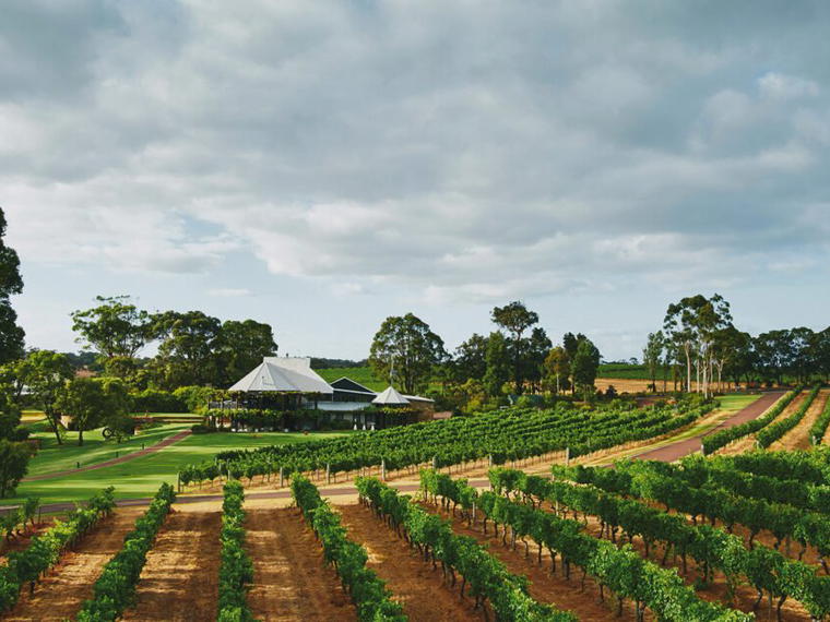Vasse Felix, Margaret River, Australia