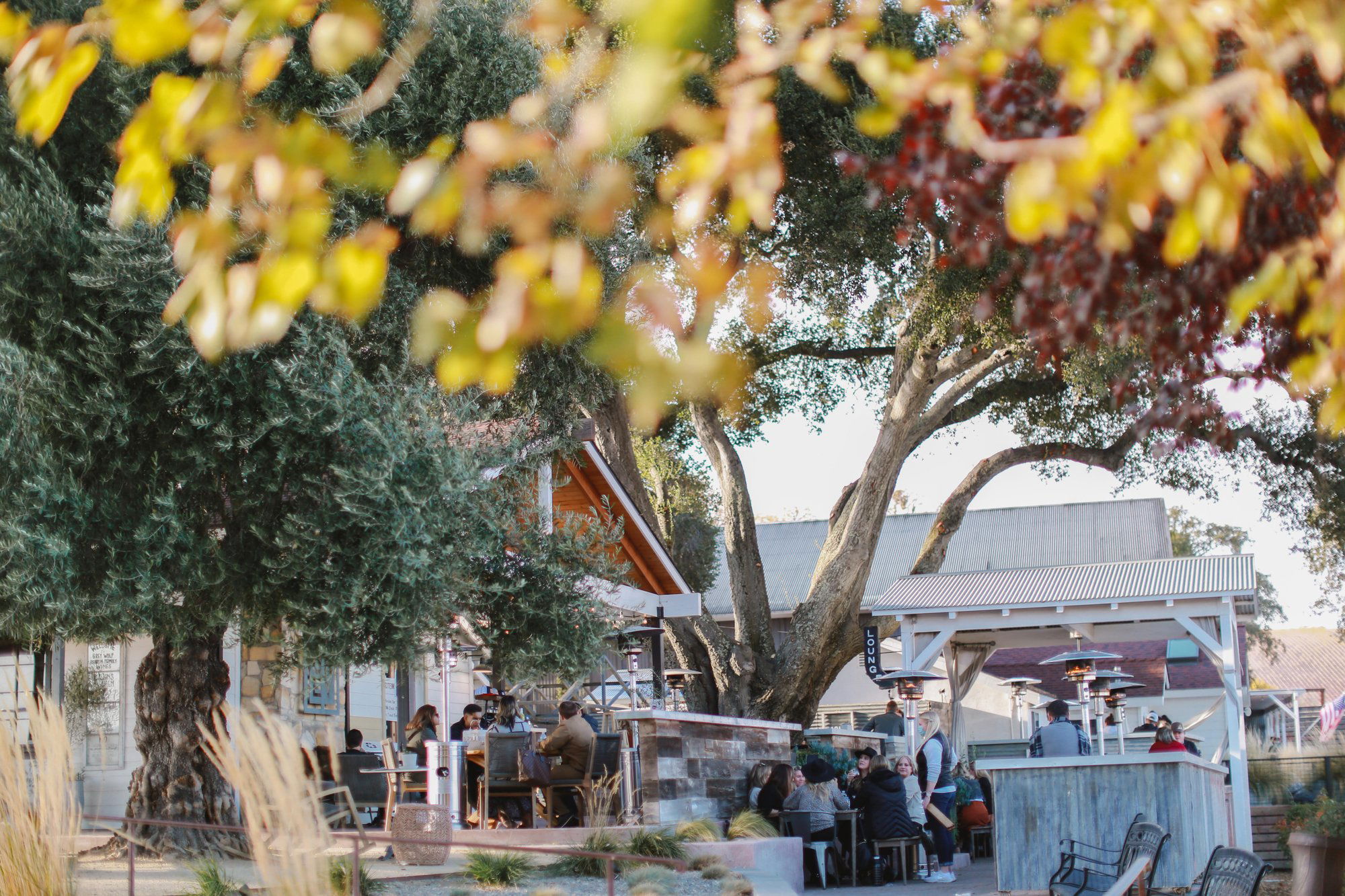 Grey Wolf Cellars, Winery in Paso Robles