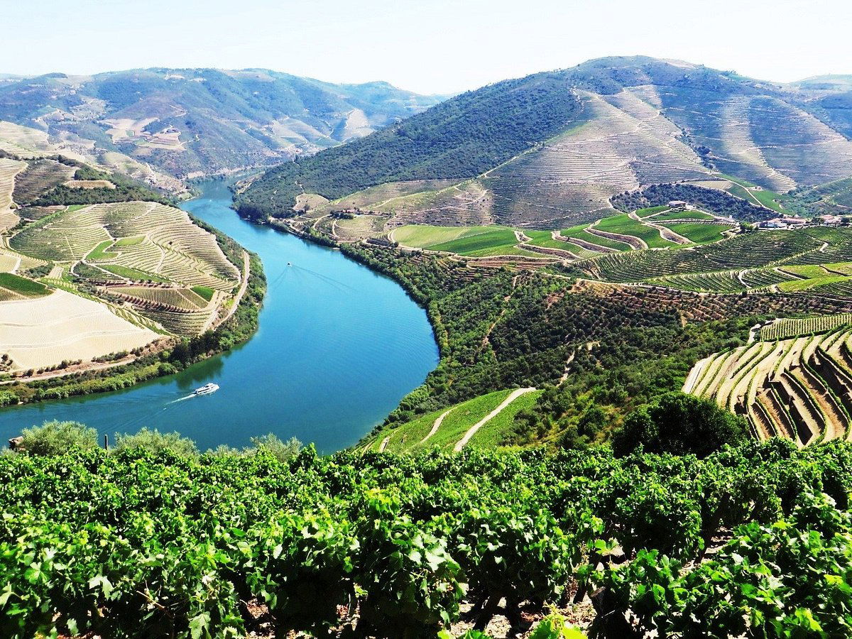 Quinta das Carvalhas winery in Pinhão, Portugal